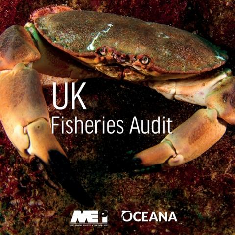 UK Fisheries Audit