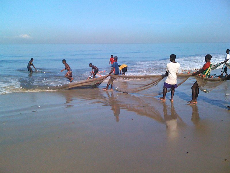 Bringing nets ashore