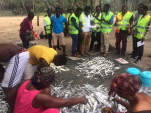 Training in the use of a fisheries data collection application